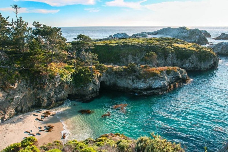 포인트 로보스 주립 자연보호구역(Point Lobos State Natural Reserve)
