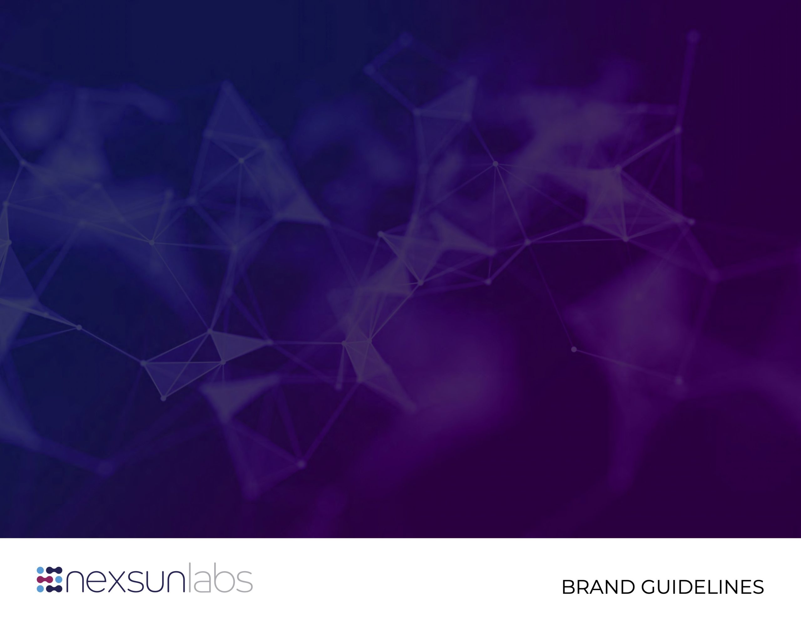Nexsunlabs Brand Guidelines